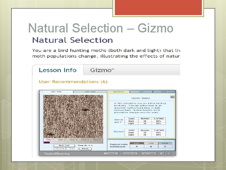 Natural Selection – Gizmo 