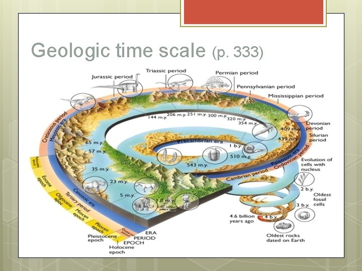 Geologic time scale (p. 333) 