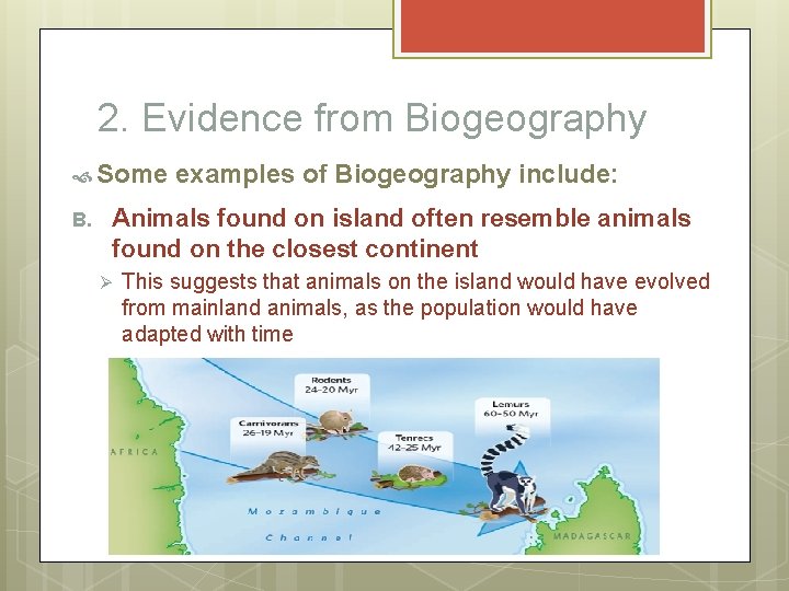 2. Evidence from Biogeography Some examples of Biogeography include: Animals found on island often