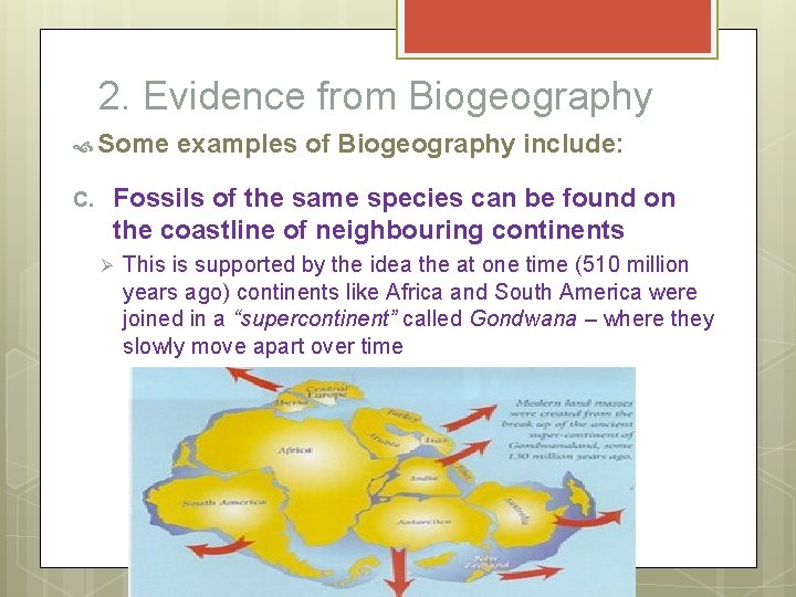 2. Evidence from Biogeography Some C. examples of Biogeography include: Fossils of the same