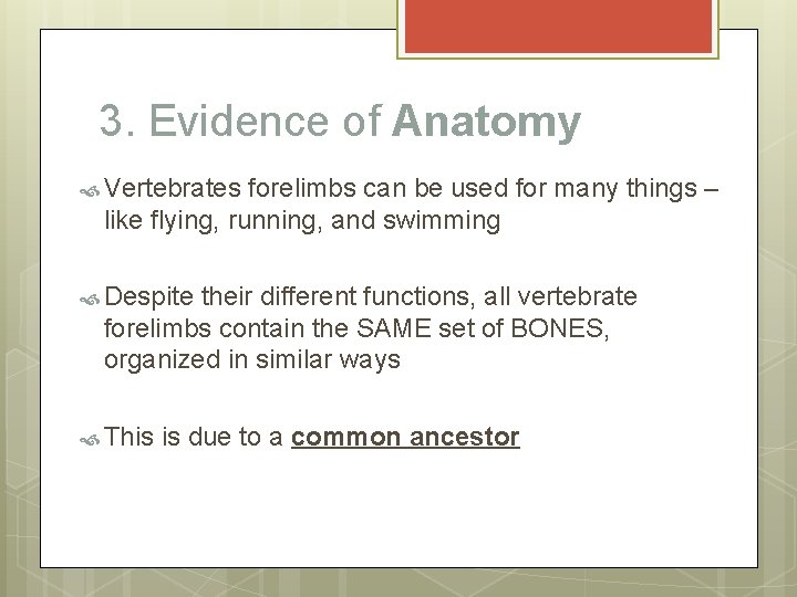 3. Evidence of Anatomy Vertebrates forelimbs can be used for many things – like
