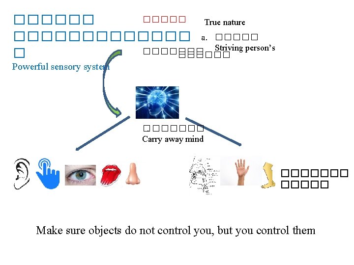 ������ True nature ������� a. ����� Striving person’s ������� � ������ Powerful sensory system