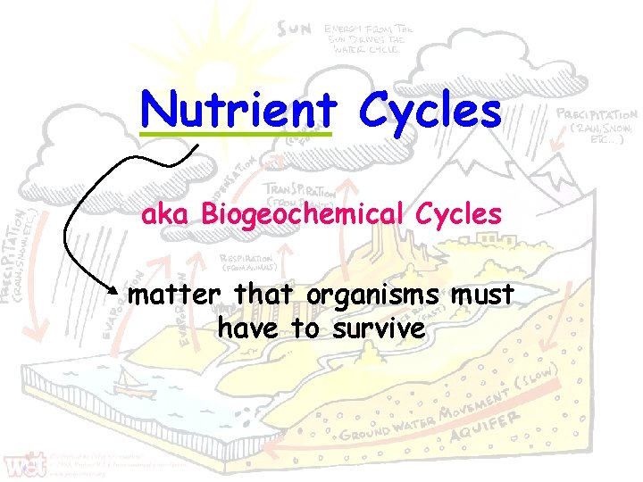 Nutrient Cycles aka Biogeochemical Cycles matter that organisms must have to survive 