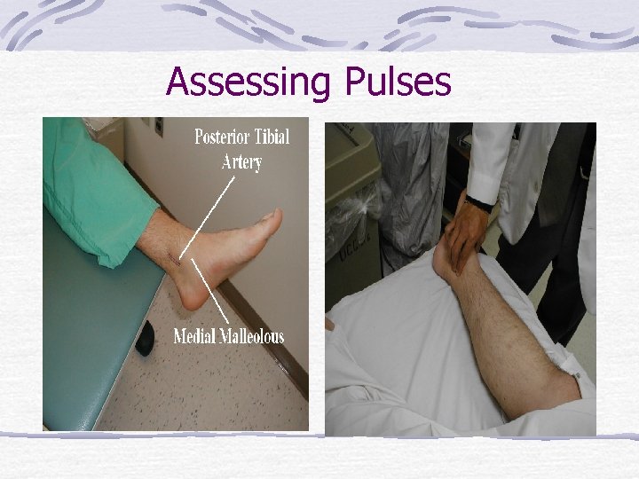Assessing Pulses 