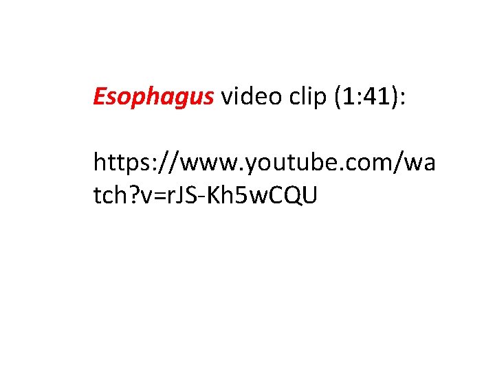 Esophagus video clip (1: 41): https: //www. youtube. com/wa tch? v=r. JS-Kh 5 w.