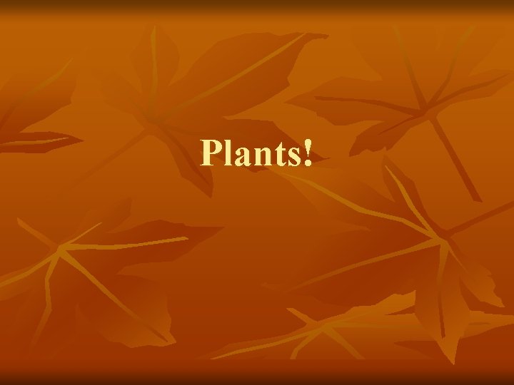 Plants! 