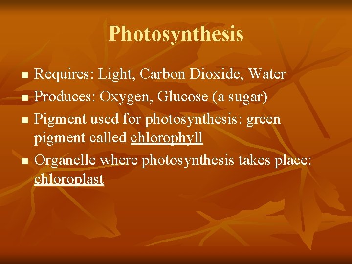 Photosynthesis n n Requires: Light, Carbon Dioxide, Water Produces: Oxygen, Glucose (a sugar) Pigment