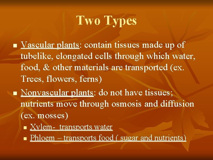 Two Types n n Vascular plants: contain tissues made up of tubelike, elongated cells