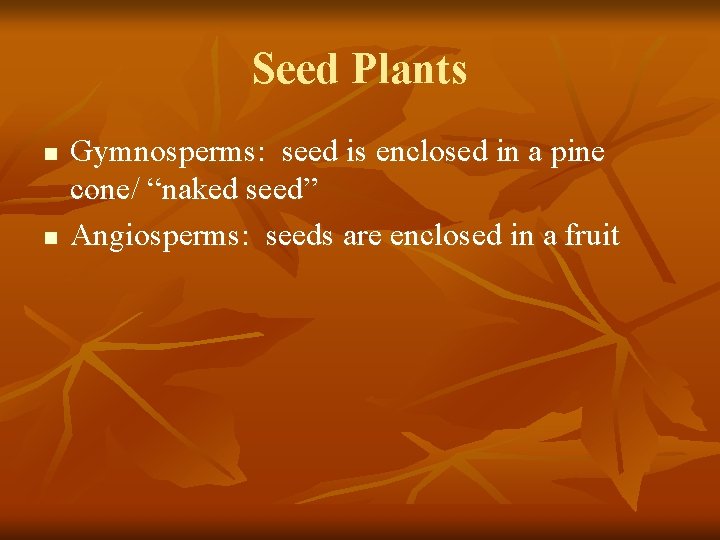 Seed Plants n n Gymnosperms: seed is enclosed in a pine cone/ “naked seed”