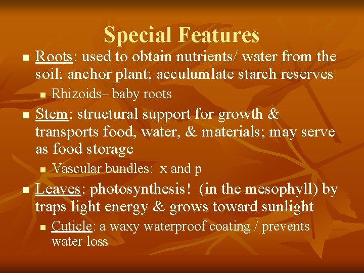 Special Features n Roots: used to obtain nutrients/ water from the soil; anchor plant;