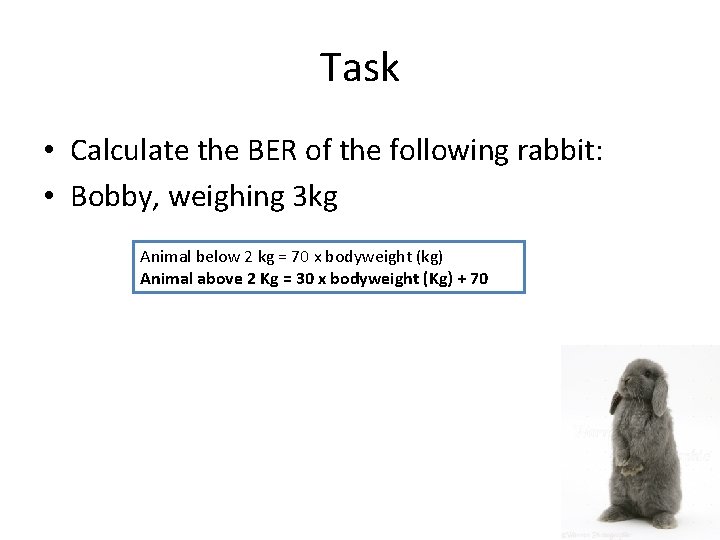 Task • Calculate the BER of the following rabbit: • Bobby, weighing 3 kg