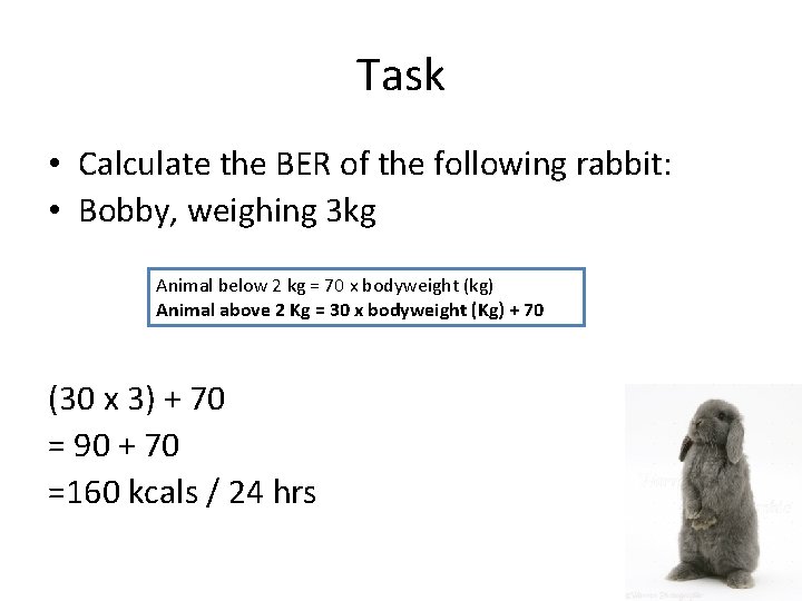 Task • Calculate the BER of the following rabbit: • Bobby, weighing 3 kg
