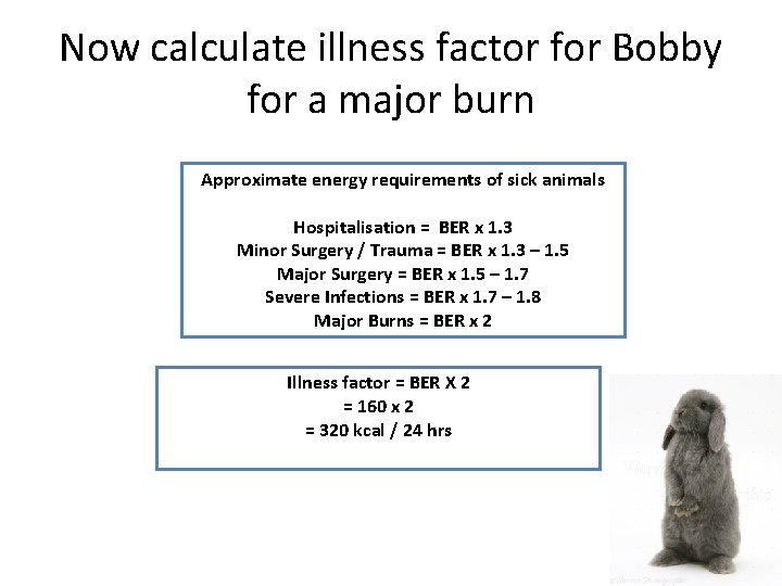 Now calculate illness factor for Bobby for a major burn Approximate energy requirements of