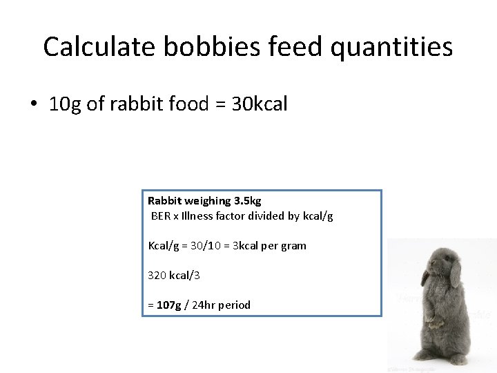 Calculate bobbies feed quantities • 10 g of rabbit food = 30 kcal Rabbit