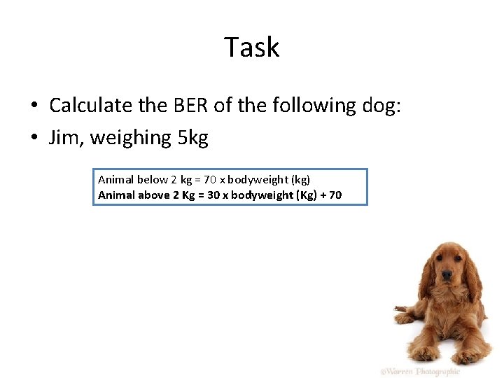 Task • Calculate the BER of the following dog: • Jim, weighing 5 kg