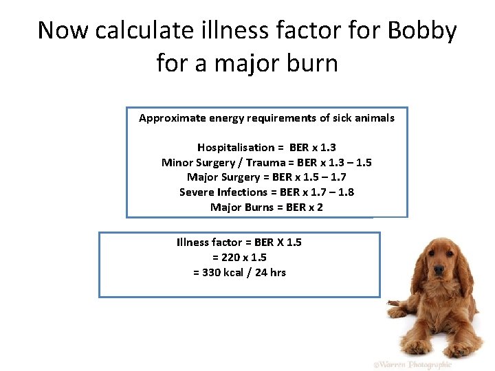 Now calculate illness factor for Bobby for a major burn Approximate energy requirements of