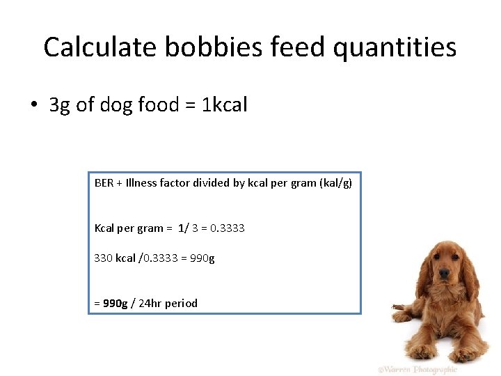 Calculate bobbies feed quantities • 3 g of dog food = 1 kcal BER