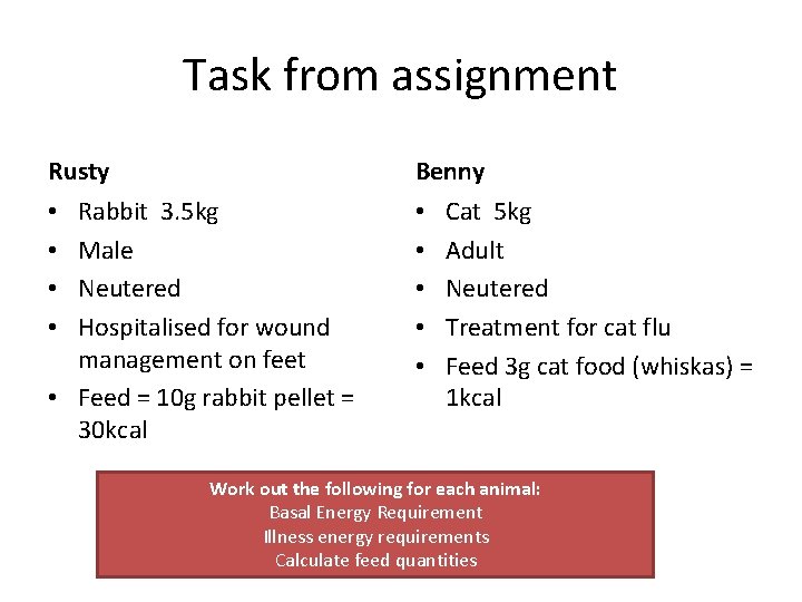 Task from assignment Rusty Benny Rabbit 3. 5 kg Male Neutered Hospitalised for wound