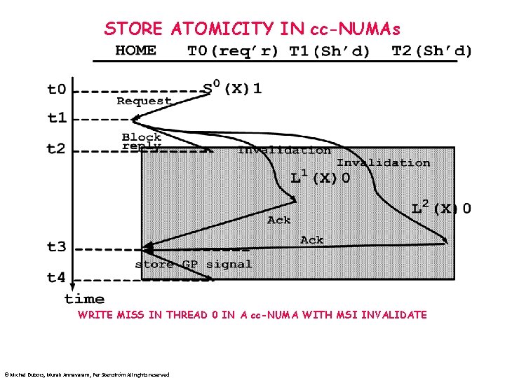 STORE ATOMICITY IN cc-NUMAs WRITE MISS IN THREAD 0 IN A cc-NUMA WITH MSI