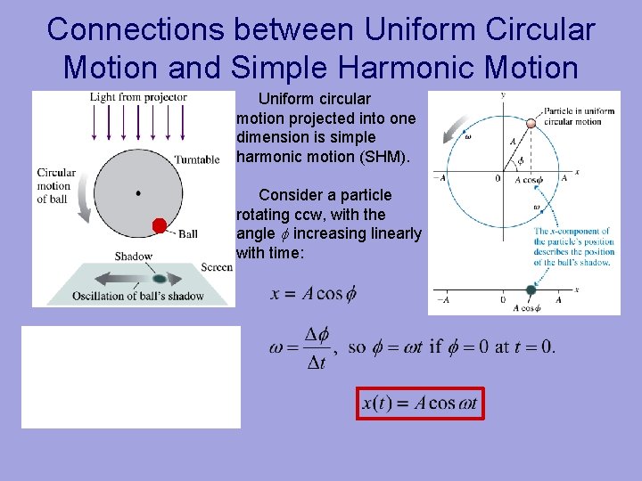 Connections between Uniform Circular Motion and Simple Harmonic Motion Uniform circular motion projected into