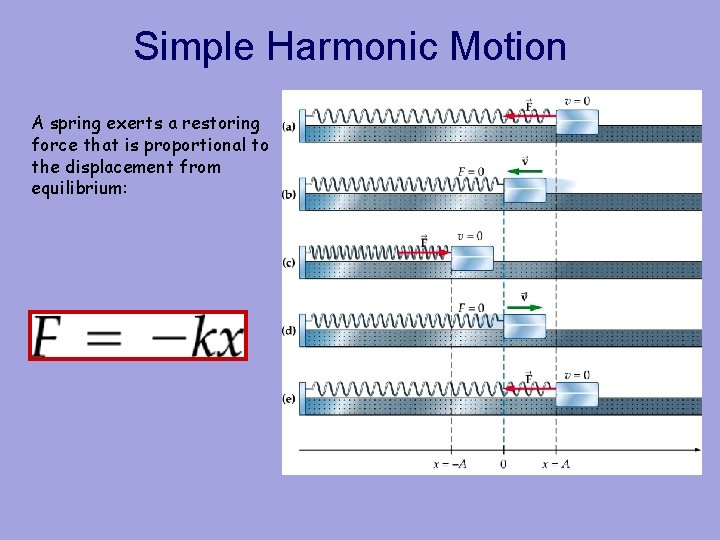 Simple Harmonic Motion A spring exerts a restoring force that is proportional to the