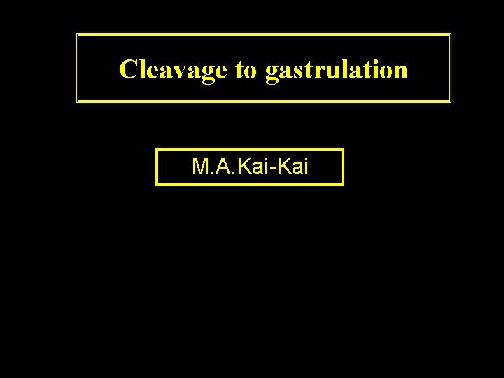 Cleavage to gastrulation M. A. Kai-Kai 