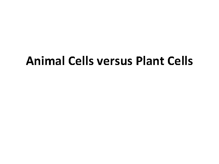 Animal Cells versus Plant Cells 