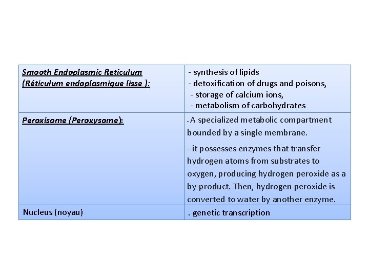 Smooth Endoplasmic Reticulum (Réticulum endoplasmique lisse ): - synthesis of lipids - detoxification of