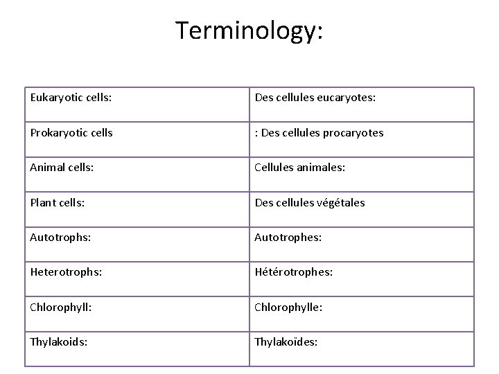 Terminology: Eukaryotic cells: Des cellules eucaryotes: Prokaryotic cells : Des cellules procaryotes Animal cells: