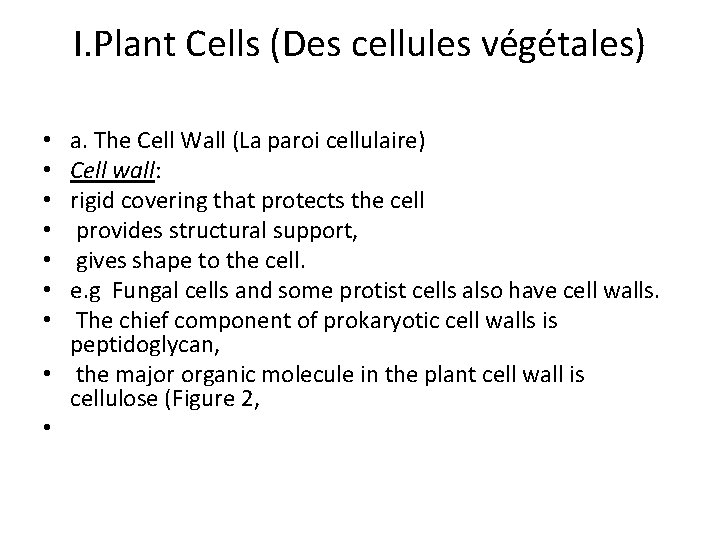 I. Plant Cells (Des cellules végétales) a. The Cell Wall (La paroi cellulaire) Cell