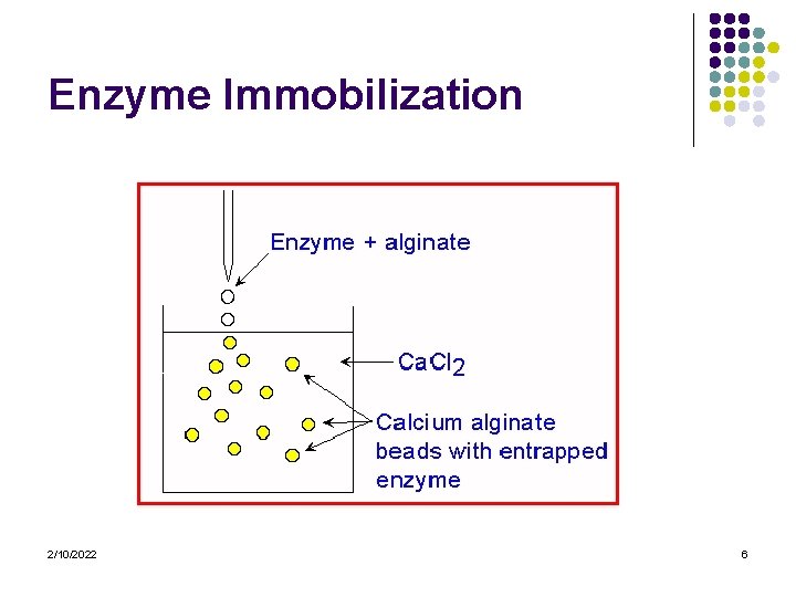 Enzyme Immobilization 2/10/2022 6 