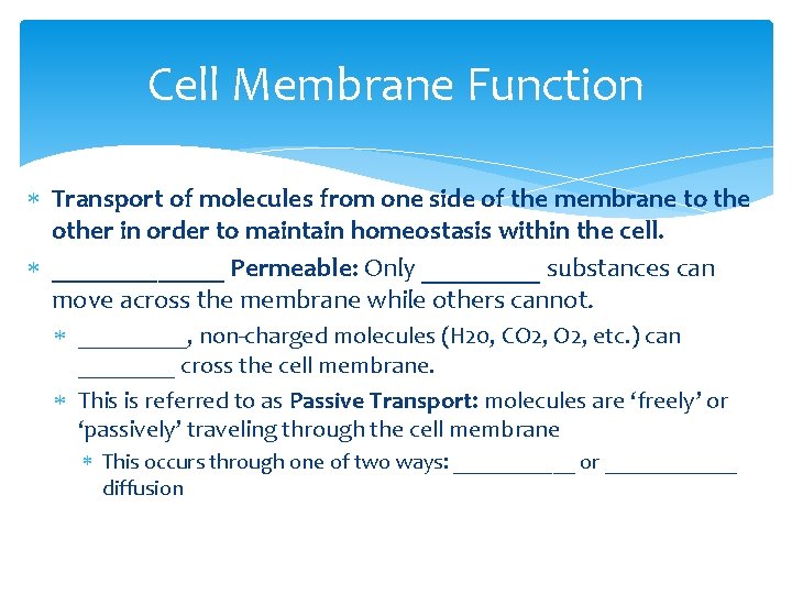 Cell Membrane Function Transport of molecules from one side of the membrane to the