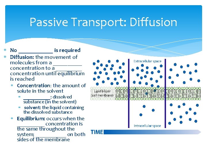 Passive Transport: Diffusion No ______ is required Diffusion: the movement of molecules from a