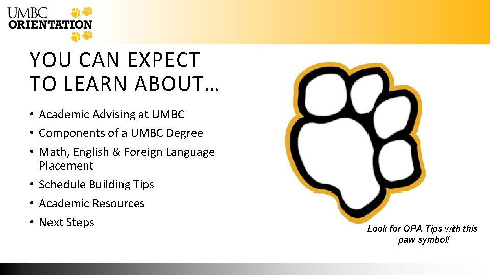 YOU CAN EXPECT TO LEARN ABOUT… • Academic Advising at UMBC • Components of