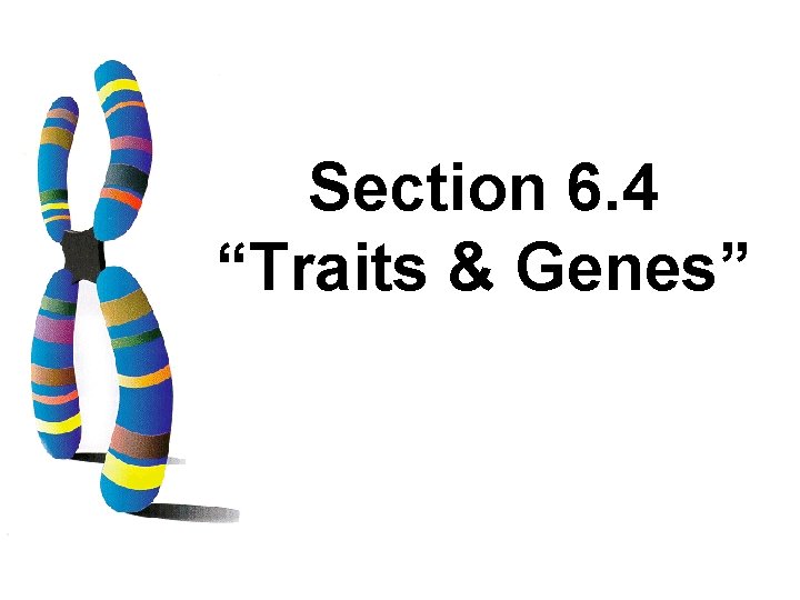 Section 6. 4 “Traits & Genes” 