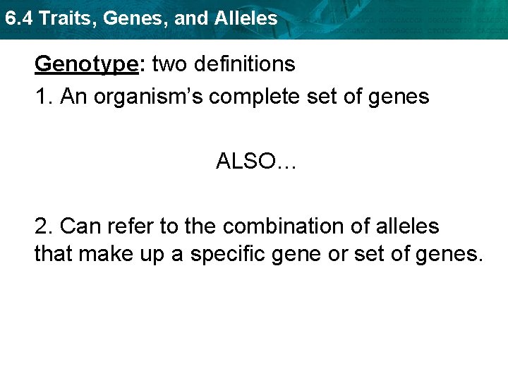 6. 4 Traits, Genes, and Alleles Genotype: two definitions 1. An organism’s complete set