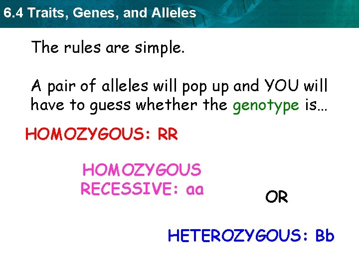 6. 4 Traits, Genes, and Alleles The rules are simple. A pair of alleles