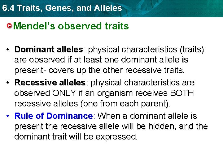 6. 4 Traits, Genes, and Alleles Mendel’s observed traits • Dominant alleles: physical characteristics