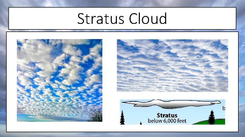 Stratus Cloud Classification Making Weather Predictions Clouds Meteorologist Person that explains