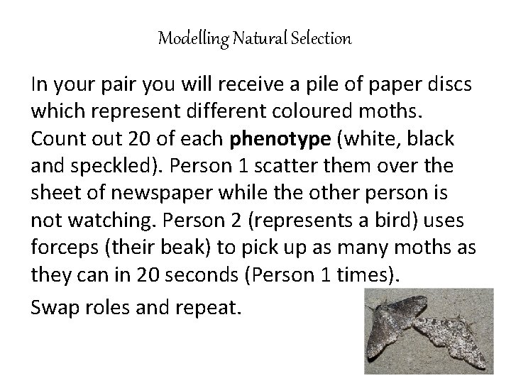 Modelling Natural Selection In your pair you will receive a pile of paper discs