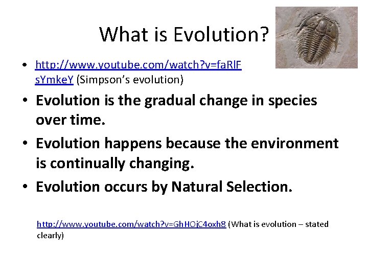 What is Evolution? • http: //www. youtube. com/watch? v=fa. Rl. F s. Ymke. Y