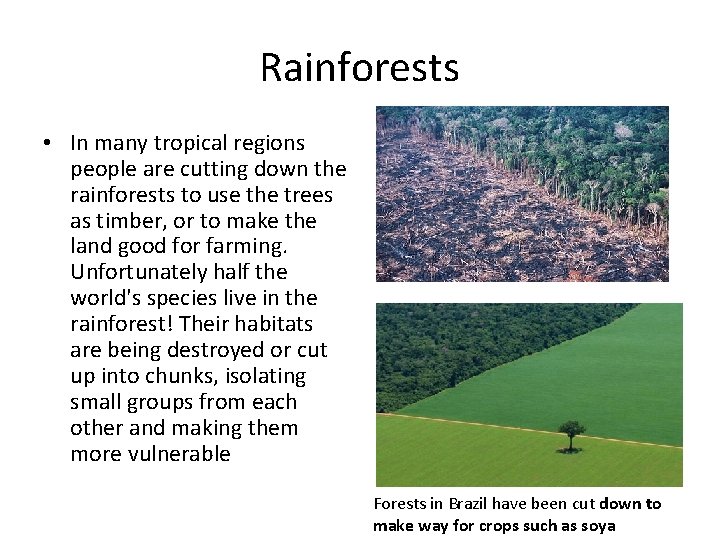 Rainforests • In many tropical regions people are cutting down the rainforests to use