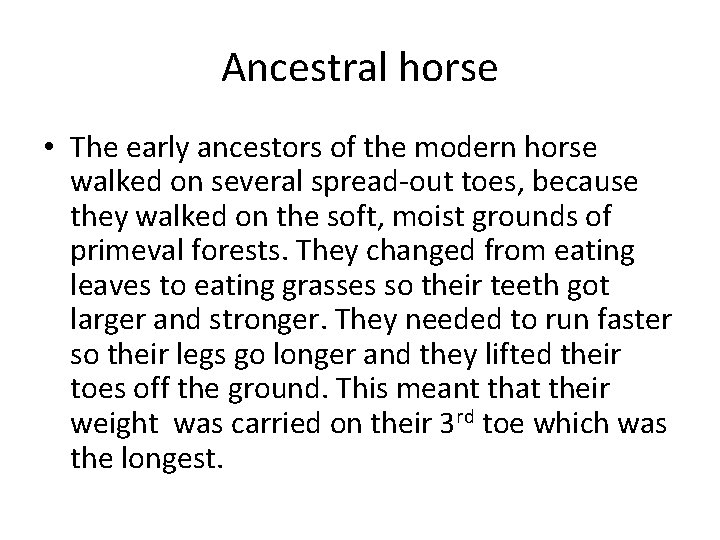 Ancestral horse • The early ancestors of the modern horse walked on several spread-out