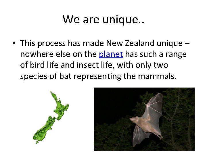 We are unique. . • This process has made New Zealand unique – nowhere