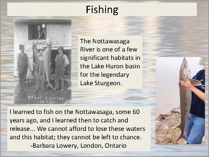 Fishing The Nottawasaga River is one of a few significant habitats in the Lake