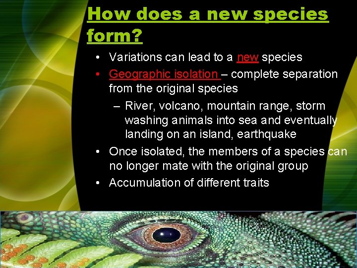 How does a new species form? • Variations can lead to a new species