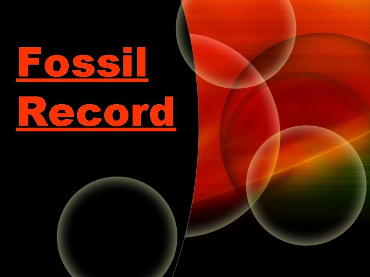 Fossil Record 