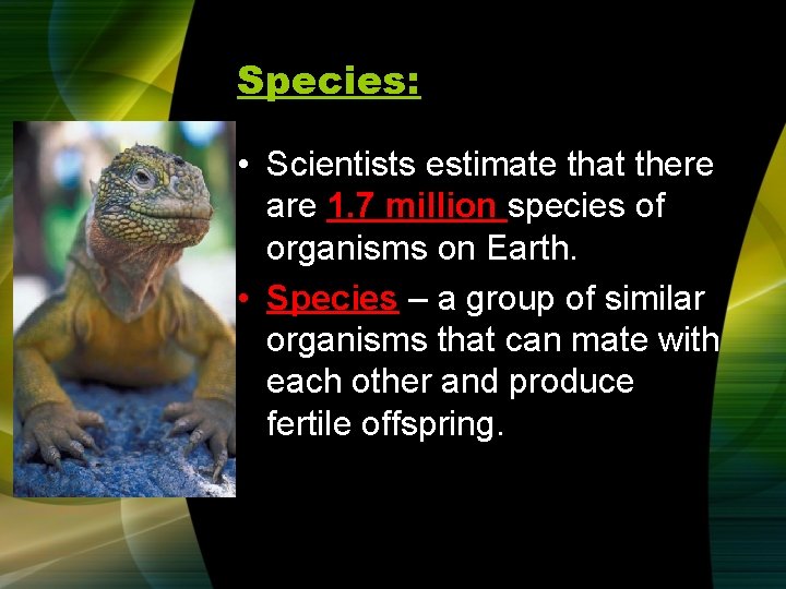 Species: • Scientists estimate that there are 1. 7 million species of organisms on