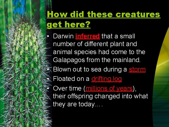 How did these creatures get here? • Darwin inferred that a small number of