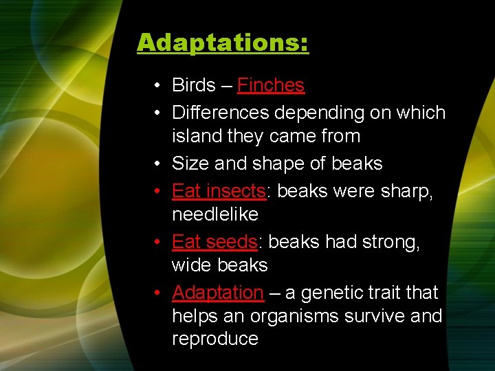 Adaptations: • Birds – Finches • Differences depending on which island they came from